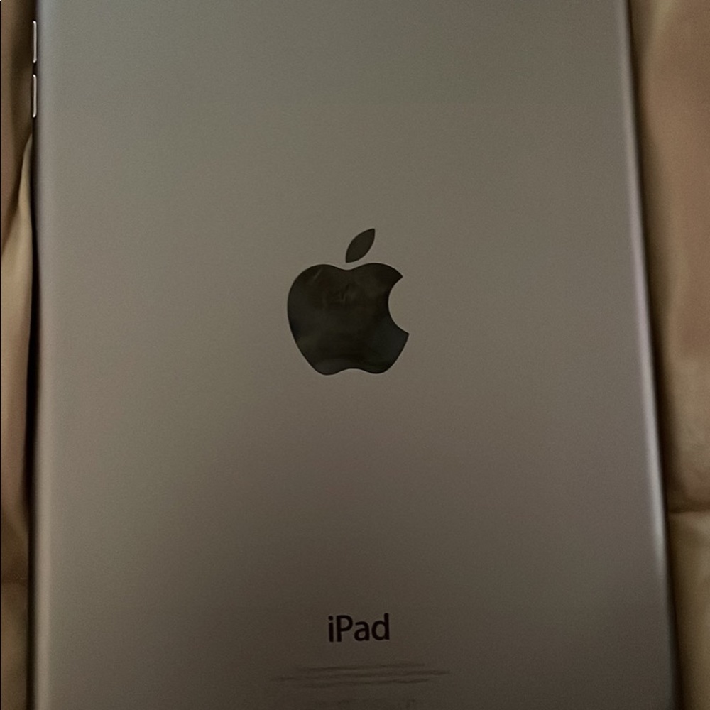 Apple IPad Mini with 2 cases